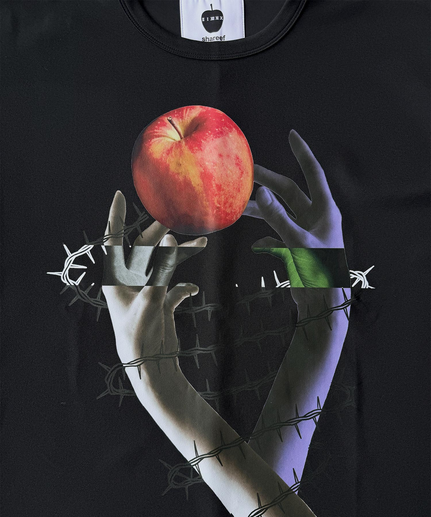 "APPLE " S/S BIG-T