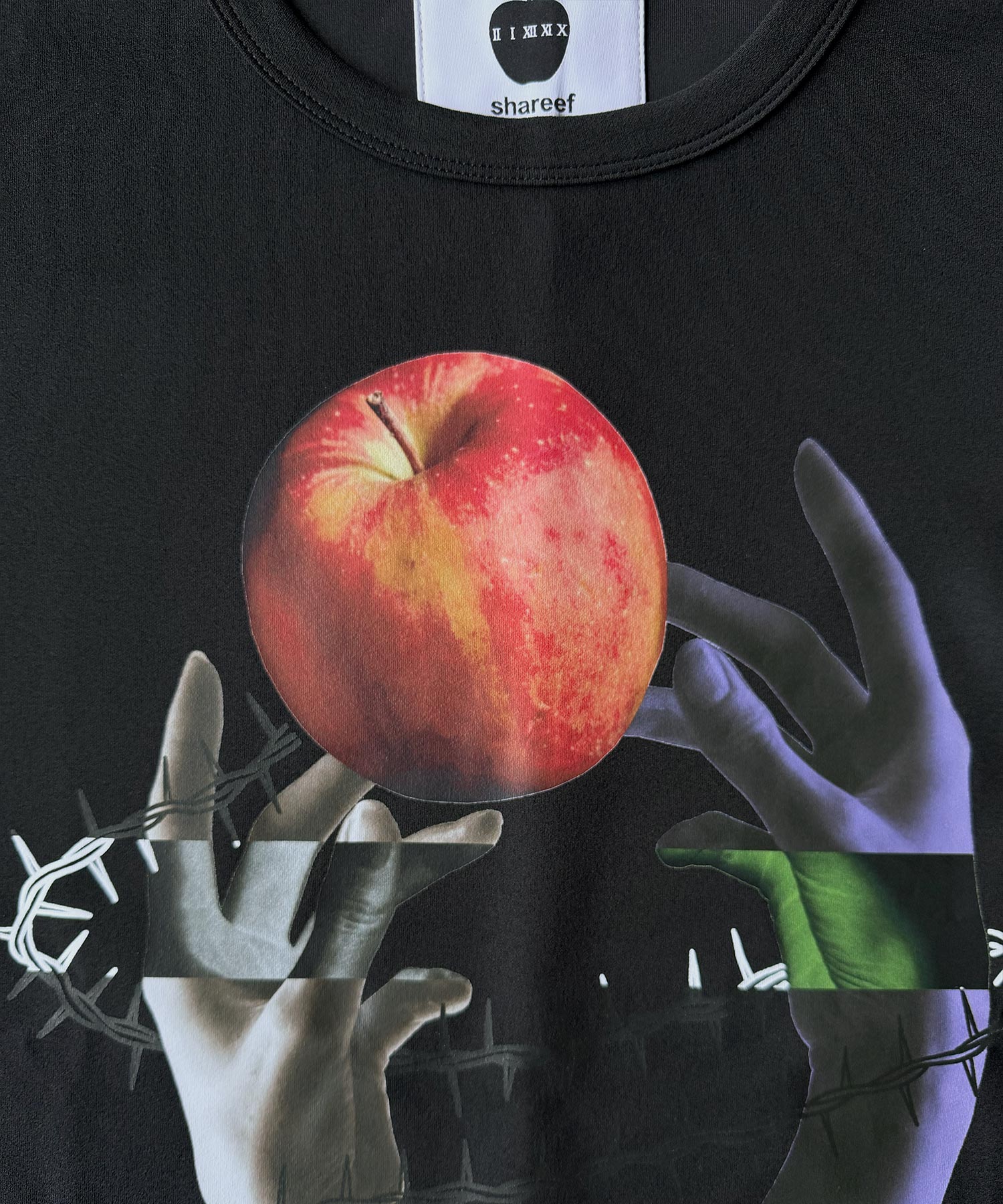 "APPLE " S/S BIG-T