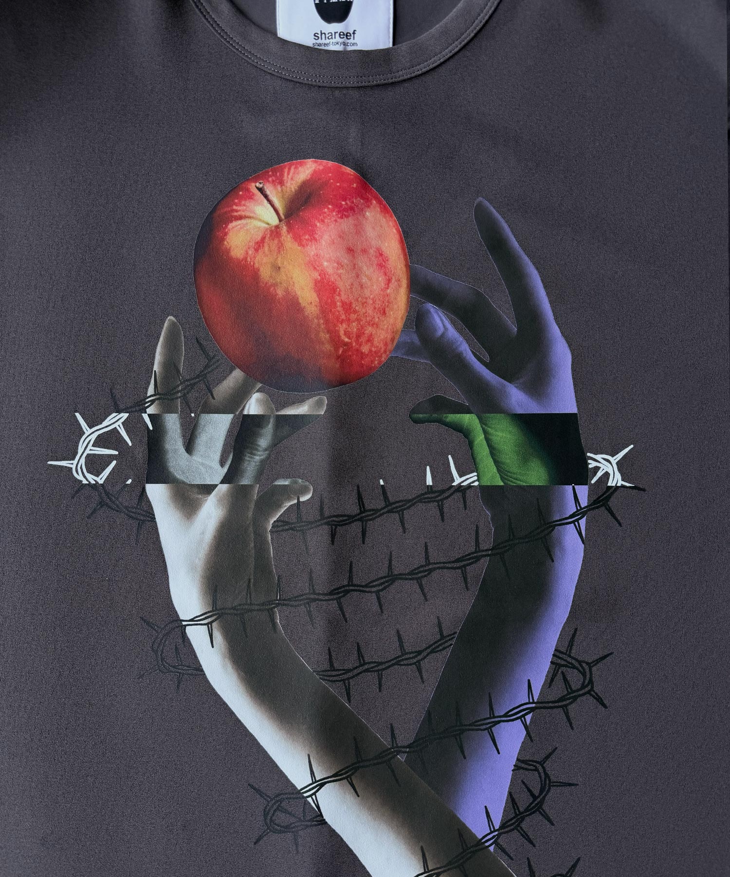 "APPLE " S/S BIG-T