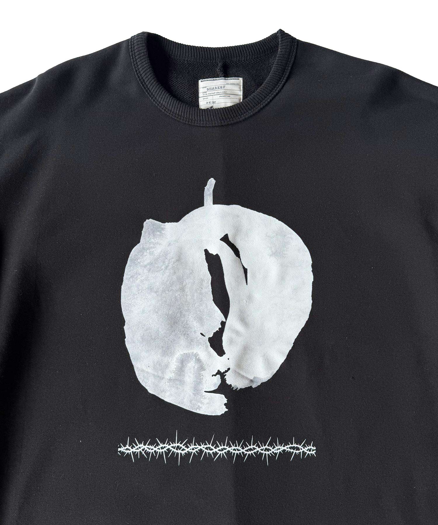 "ABSTRACT APPLE" BIG SWEAT